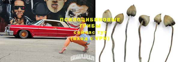 бутик Гусь-Хрустальный
