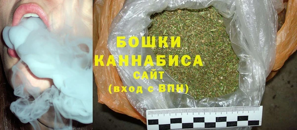 PSILOCYBIN Гусев