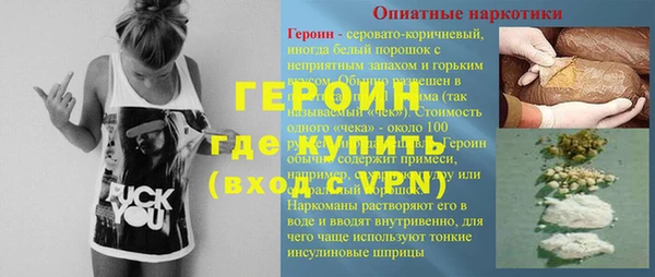 прущие грибы Ельня